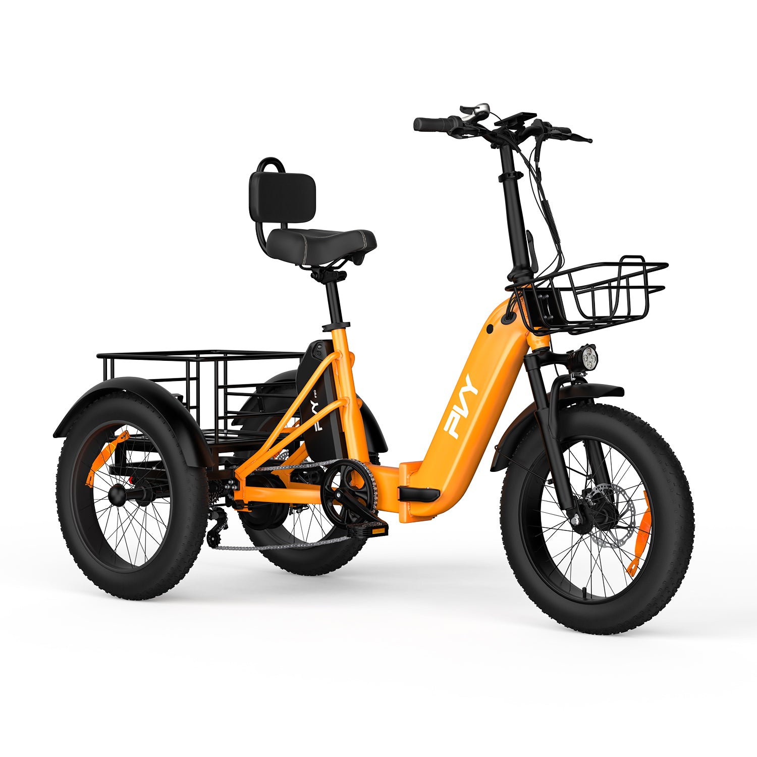 PVY F20