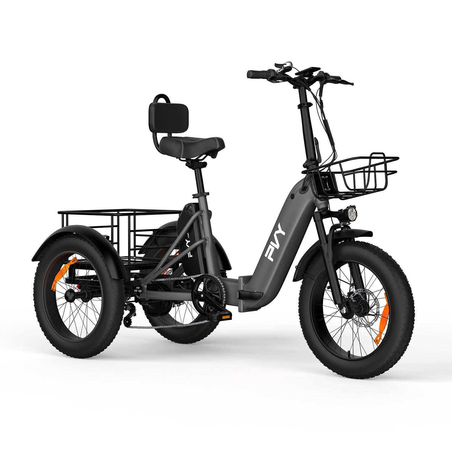 PVY F20
